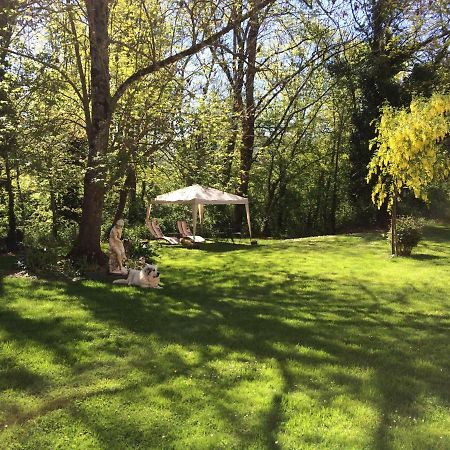 Montgaillard-de-Salies Domaine Du Val De Soux B&B 외부 사진